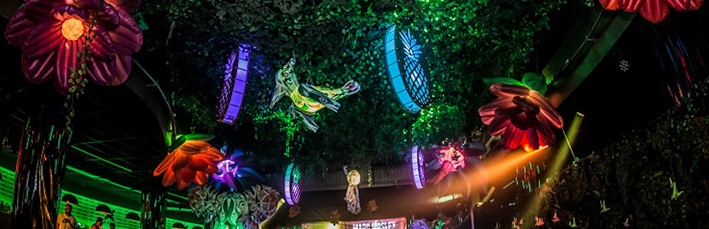 Platinum Wonderland Package